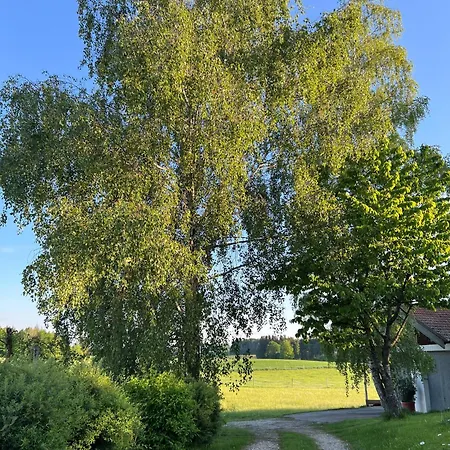 Polsing 19 Palling