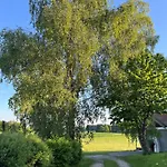 Polsing 19 Palling